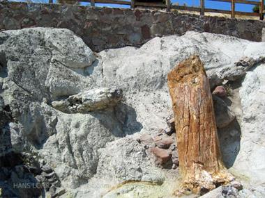 2004 Lesbos 100_0060_478